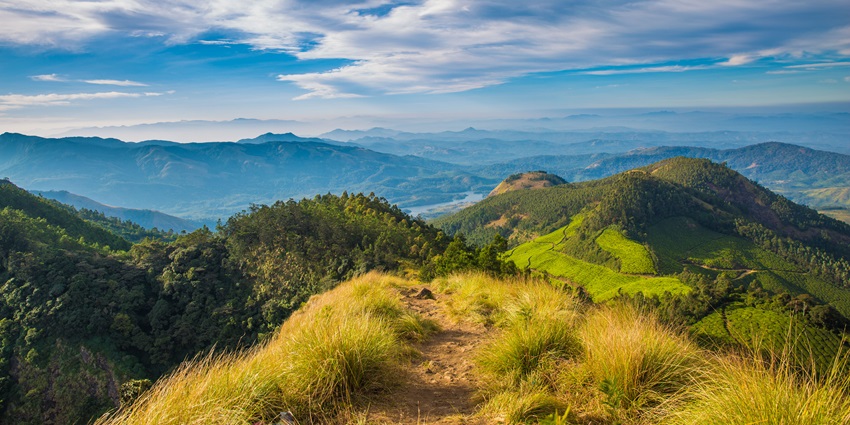 Scenic view from the Manjakuttai Viewpoint, showcasing lush mountain ranges.