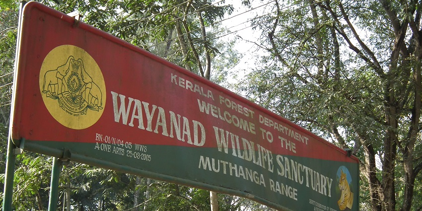 Image showing the entry gate snap taken during the safari in Wayanad Wildlife Sanctuary.
