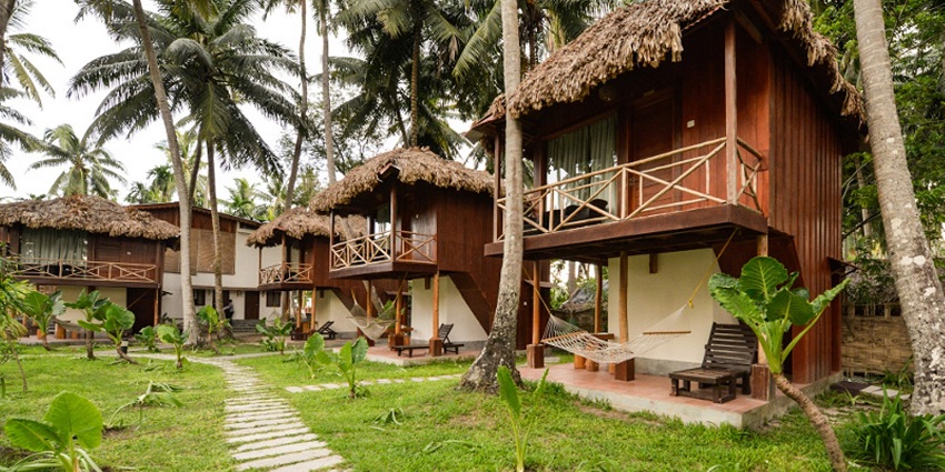 View of cosy cottages surrounded by tall palm offering a memorable stay after the adventure
