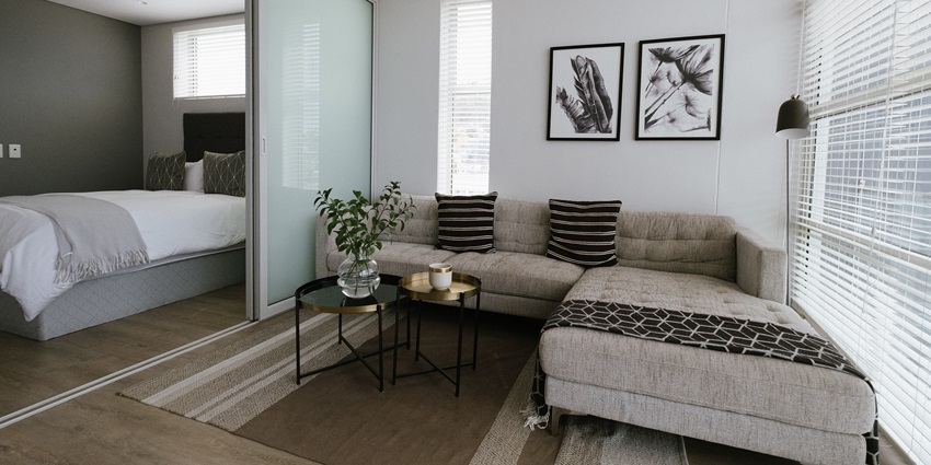 A modern hotel room with multiple windows, a couch, paintings on the wall, and a plant