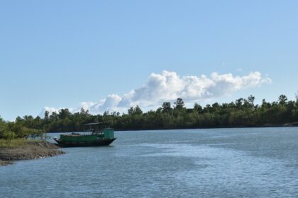 Explore nature in these wildlife sanctuaries in West Bengal.