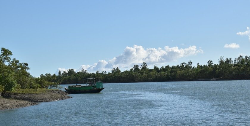 Explore nature in these wildlife sanctuaries in West Bengal.