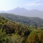 Image of the Chinnar Wildlife Sanctuary, one of the wildlife sanctuaries near Coimbatore.