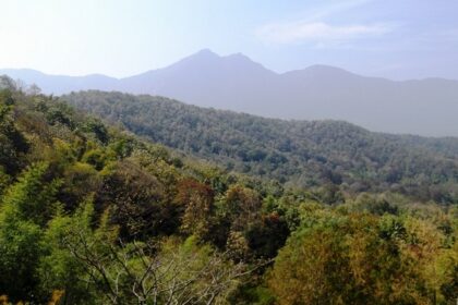 Image of the Chinnar Wildlife Sanctuary, one of the wildlife sanctuaries near Coimbatore.