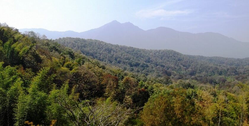 Image of the Chinnar Wildlife Sanctuary, one of the wildlife sanctuaries near Coimbatore.