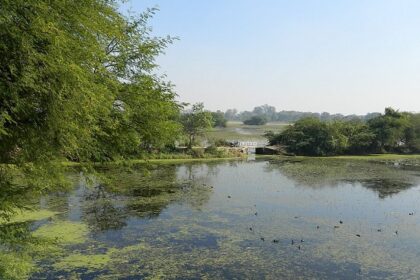 An amazing view of a stunning lake surrounded by dense greenery at Bird Sanctuary.