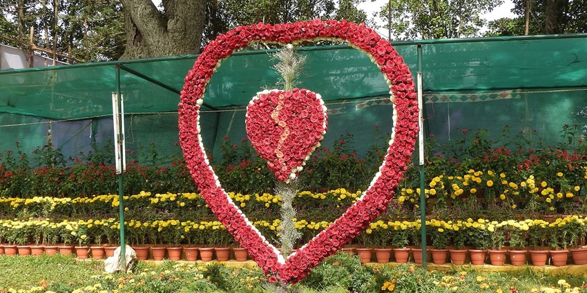 An image of the Yercaud flowershow, a famous tourist attraction located in Yercaud town.
