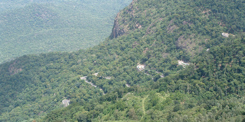 A picture of Yercaud, one of the most beautiful hill stations near Tiruvannamalai