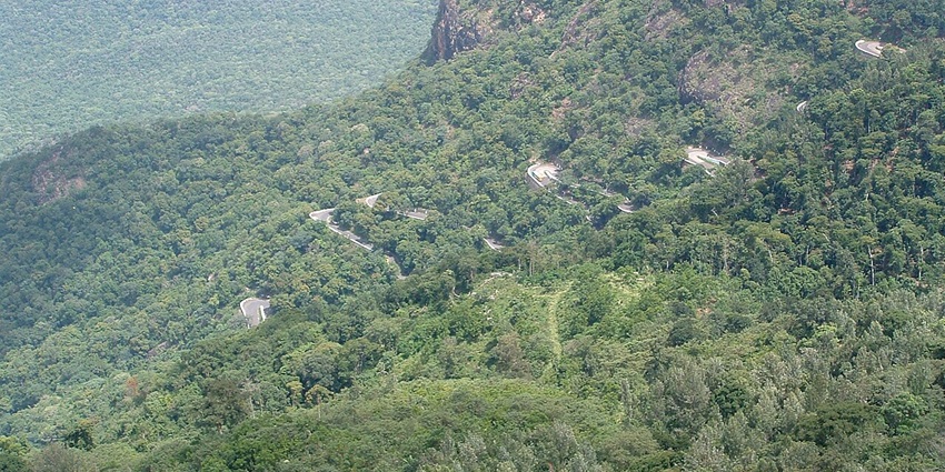 A picture of Yercaud, one of the best hill stations near Pondicherry, which is a haven.
