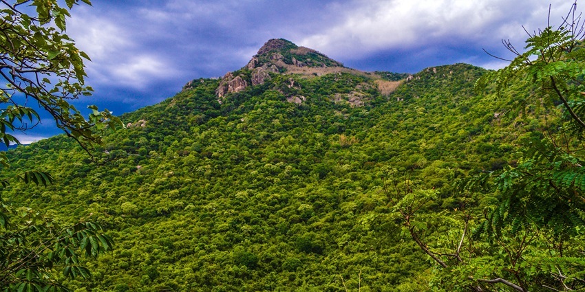 Yercaud is a hill station in Salem District, in Tamil Nadu, India. It is located in the Shevaroys range of hills in the Eastern Ghats