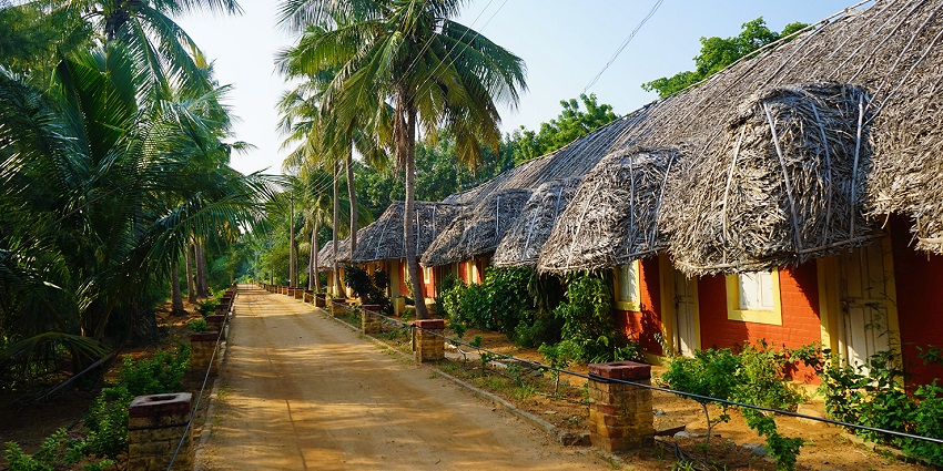 Walkway of a traditional Ashram surrounded by small rooms on one side and trees on another