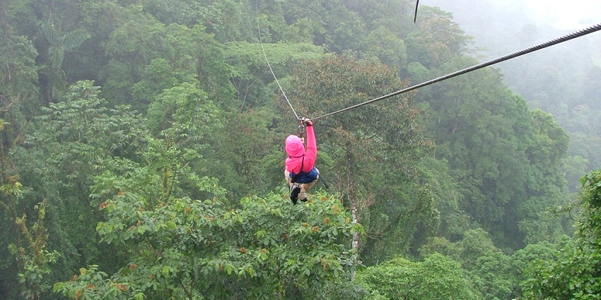 Exciting aerial experience gliding between treetops at speed.