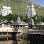 The picture of the architectural details on the Shri Kanaga Thurakki Amman Temple.