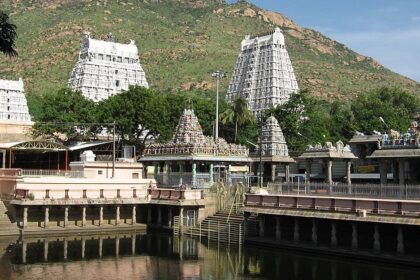 The picture of the architectural details on the Shri Kanaga Thurakki Amman Temple.