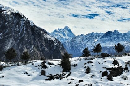 A beautiful view of the Auli hills covered with thick blanket, located in Uttarakhand.