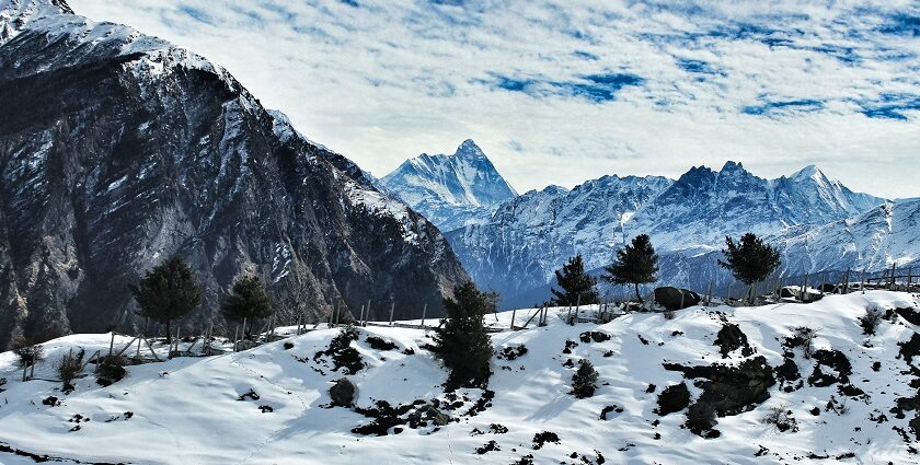 A beautiful view of the Auli hills covered with thick blanket, located in Uttarakhand.