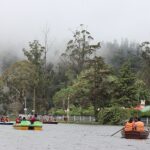 There are several amazing places to visit near Kodaikanal located in and around the state.