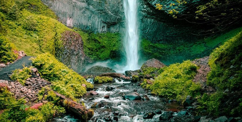 An image of an amazing waterfall resembling Kodiveri Waterfalls located in Tamil Nadu.