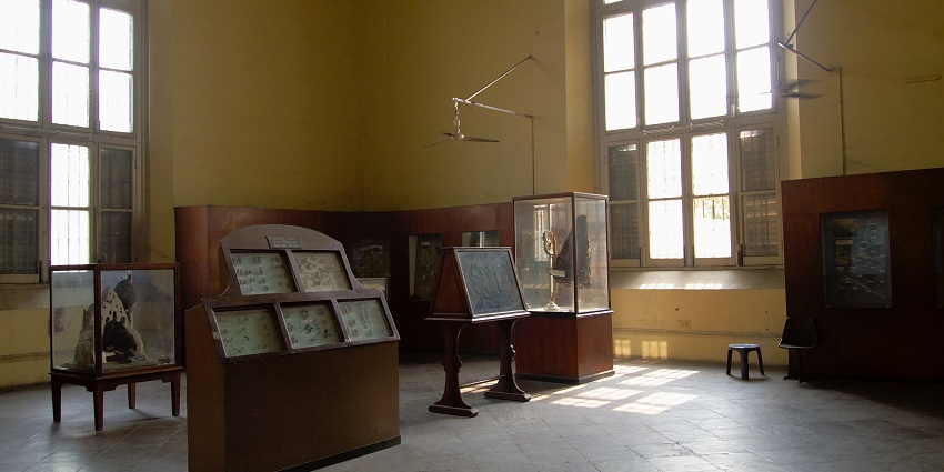 Visit the Indian Museum in Kolkata, a place offering an informational experience