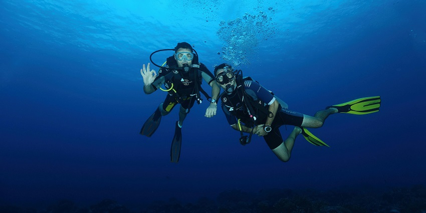 An image of an underwater exploration activity revealing vibrant marine life and coral.