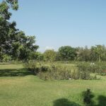 Image of Patel park, one of the best places to visit in Ambala for couples