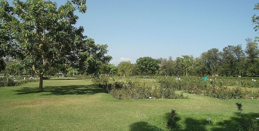 Image of Patel park, one of the best places to visit in Ambala for couples