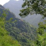 Image of lush green forest offering amazing things to do in Kolli Hills for adventurers.