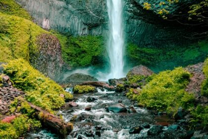 An image of a waterfall cascading over rocks surrounded by greenery.