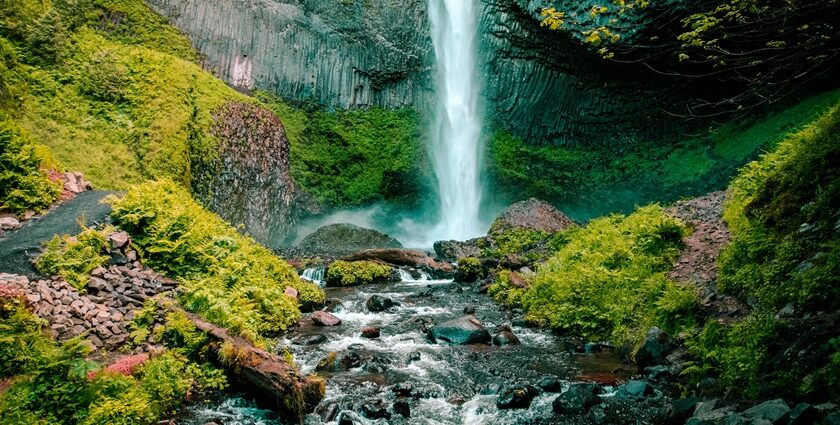 An image of a waterfall cascading over rocks surrounded by greenery.