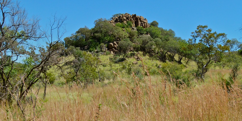 Image of beautiful Grassland scenery at the South Africa's National Park