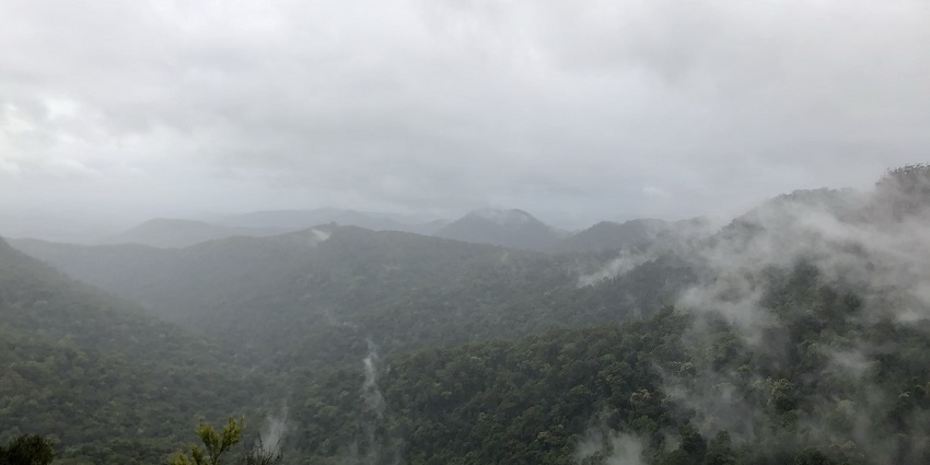Sweeping view of the rainforest mist at Springbrook National Park.