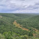 An aerial view of Addo Elephant National Park with lush greenery all around