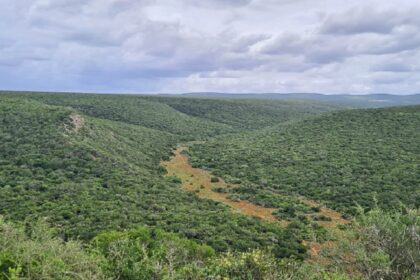 An aerial view of Addo Elephant National Park with lush greenery all around