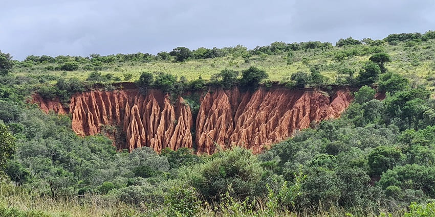 A beautiful picture of Addo elephant national park with an erosion site amidst the greenery