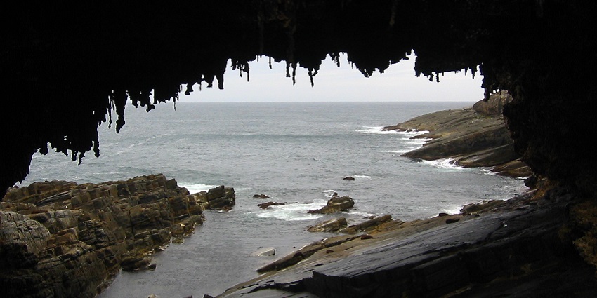 Visit the Admirals Arch, a naturally occurring rock arch on Kangaroo Island