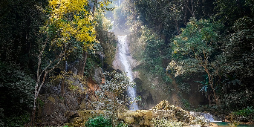 The Agasthiyar Falls lies inside the Kalakadu Mudunthurai Tiger Reserve Forest