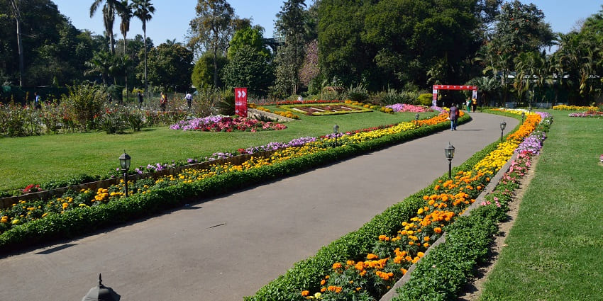 An image of a lush green Agri Horticultural Garder with the perfect sunlight and glowing colour flowers.