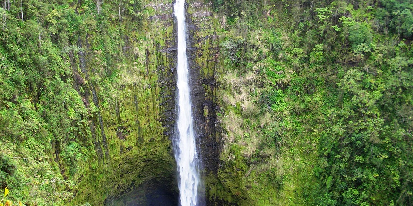 Akaka Falls cascading down the rich Hamakua Coast in Hawaii, surrounded by vibrant green foliage.