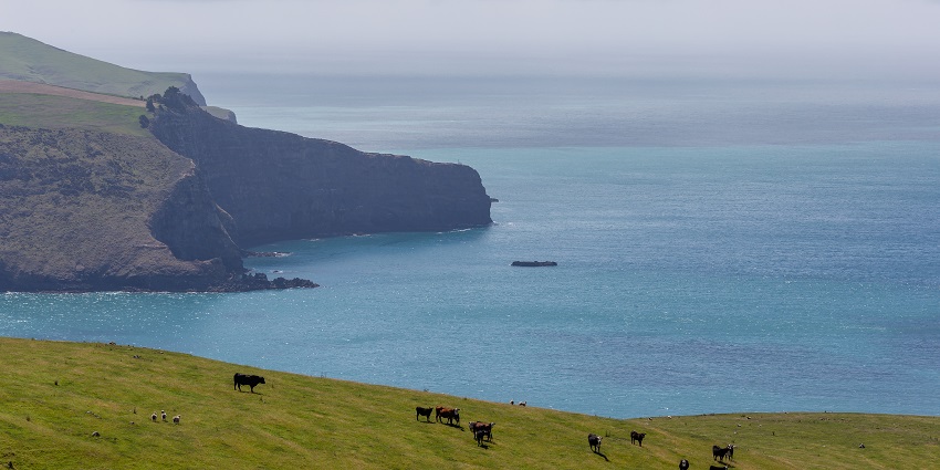 Akaroa Banks Peninsula is one of the top 10 beaches near Christchurch in New Zealand