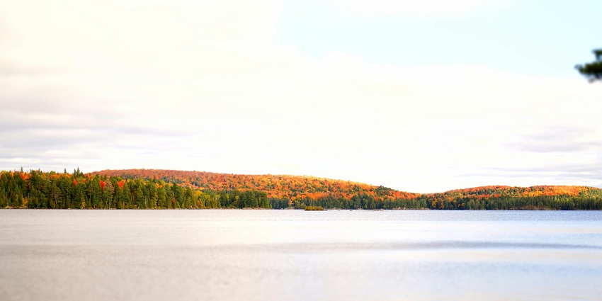 Algonquin Provincial Park is looking serene, with a lake surrounded by autumn trees.