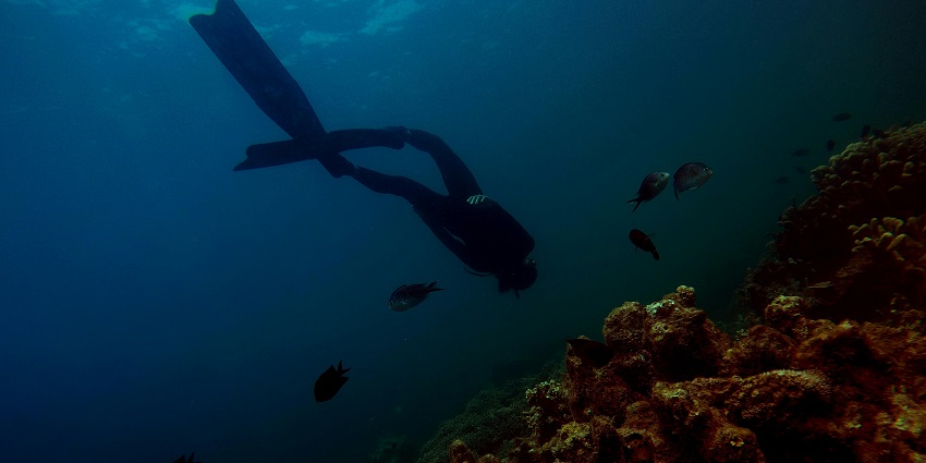 A picture of Scuba diving in Alibaug at Alibaug Beach- a convenient and fun activity.