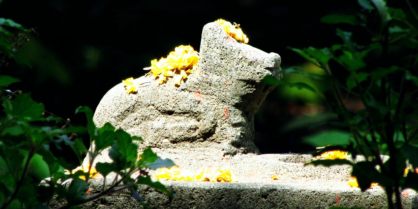An image of Khanderi Fort and the coastline of Alibaug, the best jungle safari near Mumbai.
