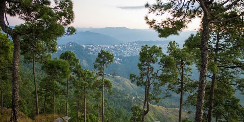 A picture of sunny hill views in Almora, a cultural hill station near Vrindavan.