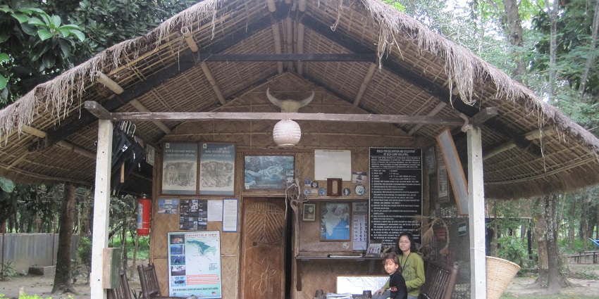 Eco-friendly camping in Almora amidst pristine forests and picturesque mountain views