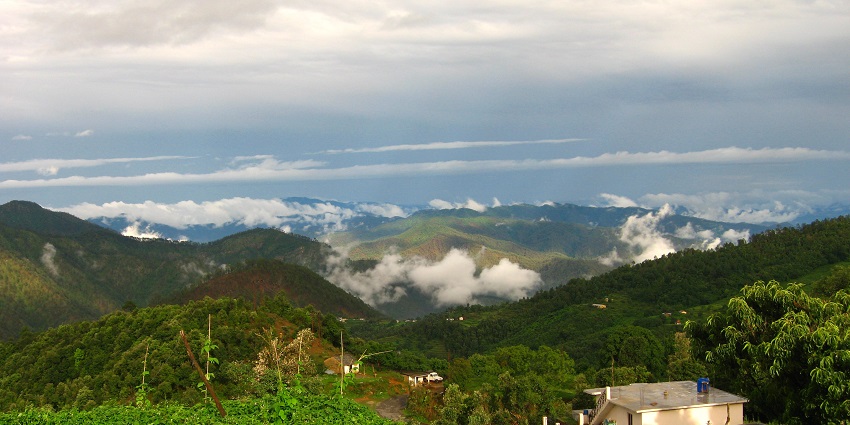 Scenic journey through forests leading to Mukteshwar’s beauty.