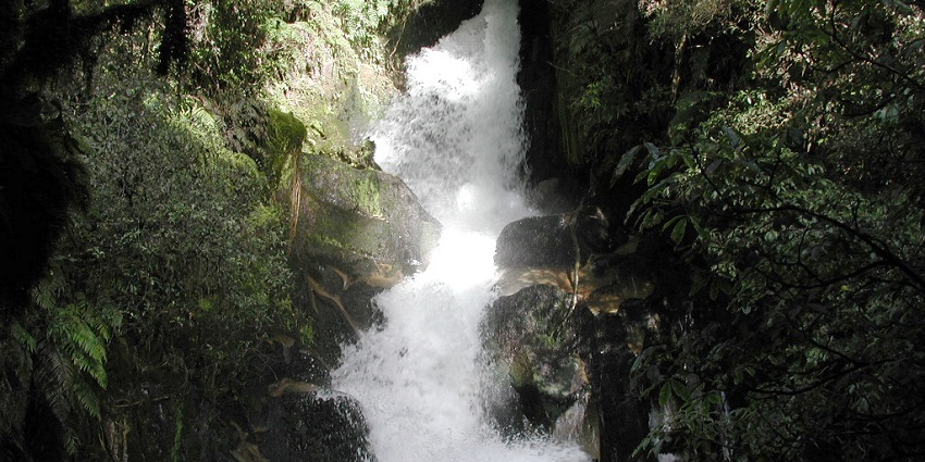 The Hidden Ananui Falls reflects the tranquil side of New Zealand waterfalls