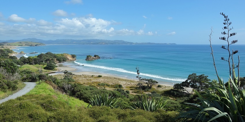 Anchor Bay which is in the Tāwharanui Regional Park is known for its Clear waters and trails.