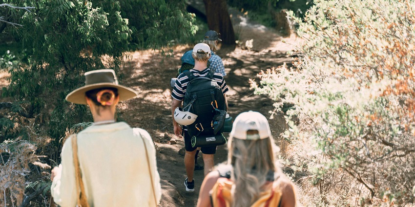 A picture of trekking through a vast green forest during the Anjaneri trekking experience.