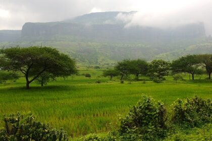 A majestic view of Anjaneri Fort, a popular trekking destination near Nashik, Maharashtra.