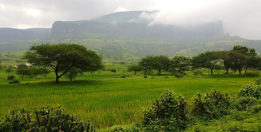 A majestic view of Anjaneri Fort, a popular trekking destination near Nashik, Maharashtra.